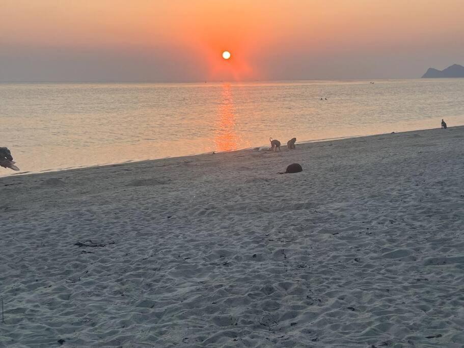 Sunset Serenity Cove 코팡안 외부 사진
